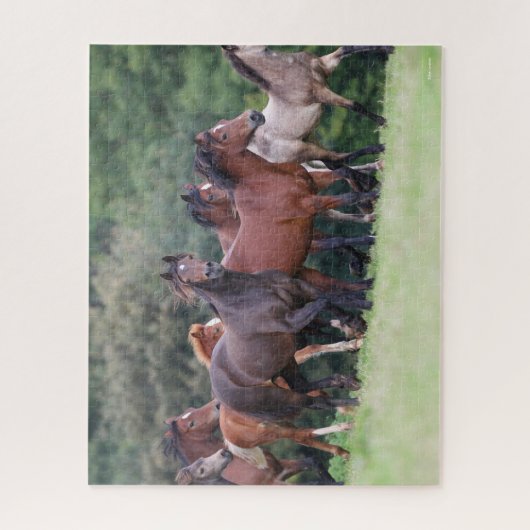 Bob Langrish | Herd van Welsh Ponies in Field Legpuzzel (Verticaal)