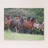 Bob Langrish | Herd van Welsh Ponies in Field Legpuzzel (Horizontaal)