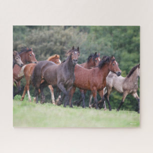 Bob Langrish Herd van Welsh Ponies in Field Legpuzzel