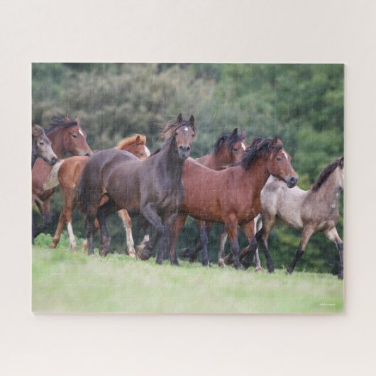 Bob Langrish | Herd van Welsh Ponies in Field Legpuzzel (Horizontaal)
