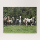 Bob Langrish | Herd van Welsh Ponies Permanent Legpuzzel (Horizontaal)