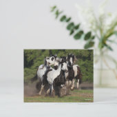 Bob Langrish | Herd van zigeunerpaarden Briefkaart (Staand voorkant)