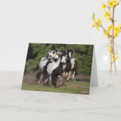 Bob Langrish | Herd van zigeunerpaarden Kaart (Gele Bloem)