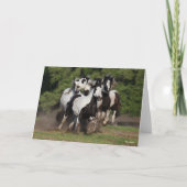 Bob Langrish | Herd van zigeunerpaarden Kaart (Voorkant)