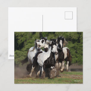 Bob Langrish   Herd-zigeunerventilatoren in bedrij Briefkaart