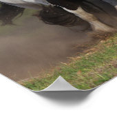 Bob Langrish | Herd-zigeunerventilatoren in bedrij Poster (Hoek)