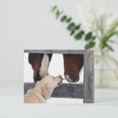 Bob Langrish | Hondshoorsen Briefkaart (Staand voorkant)