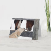 Bob Langrish | Hondshoorsen Kaart (Voorkant)