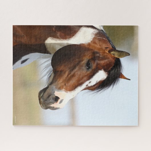 Bob Langrish | Hoofd Paint Horse Stallion Legpuzzel (Horizontaal)