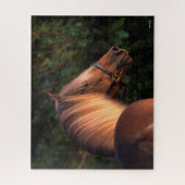 Bob Langrish | Hoofd Rocky Mountain Horse Legpuzzel (Verticaal)