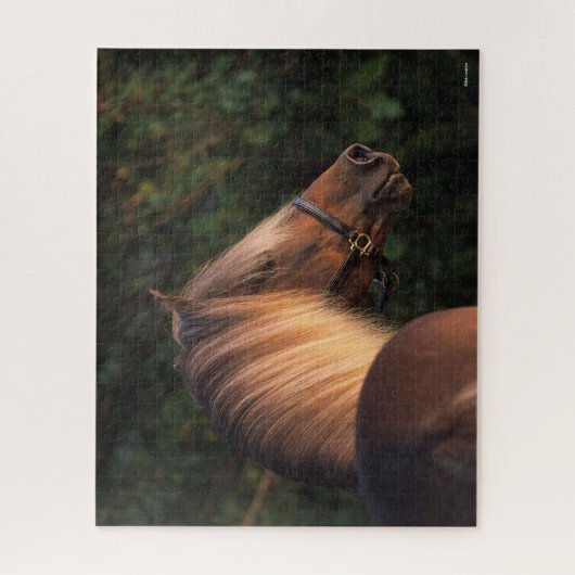 Bob Langrish | Hoofd Rocky Mountain Horse Legpuzzel (Verticaal)