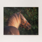 Bob Langrish | Hoofd Rocky Mountain Horse Legpuzzel (Horizontaal)
