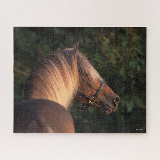 Bob Langrish | Hoofd Rocky Mountain Horse Legpuzzel (Horizontaal)