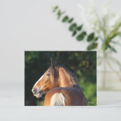 Bob Langrish | Hoofd van Clydesdale Horse Briefkaart (Staand voorkant)