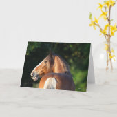 Bob Langrish | Hoofd van Clydesdale Horse Kaart (Gele Bloem)