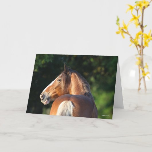 Bob Langrish | Hoofd van Clydesdale Horse Kaart (Gele Bloem)