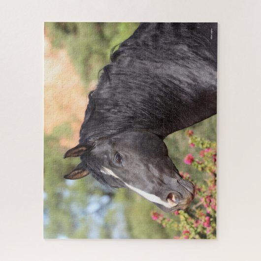 Bob Langrish | Hoofd van de Black Andalucian Stall Legpuzzel (Verticaal)