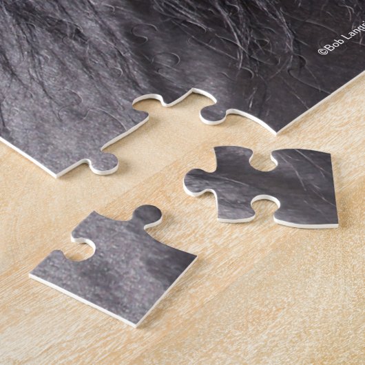 Bob Langrish | Hoofd van de Black Andalucian Stall Legpuzzel (Zijkant)