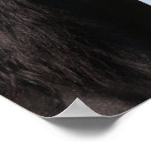 Bob Langrish | Hoofd van de Black Arab Stallion Poster (Hoek)