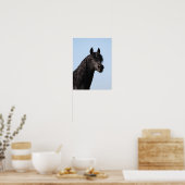 Bob Langrish | Hoofd van de Black Arab Stallion Poster (Keuken)