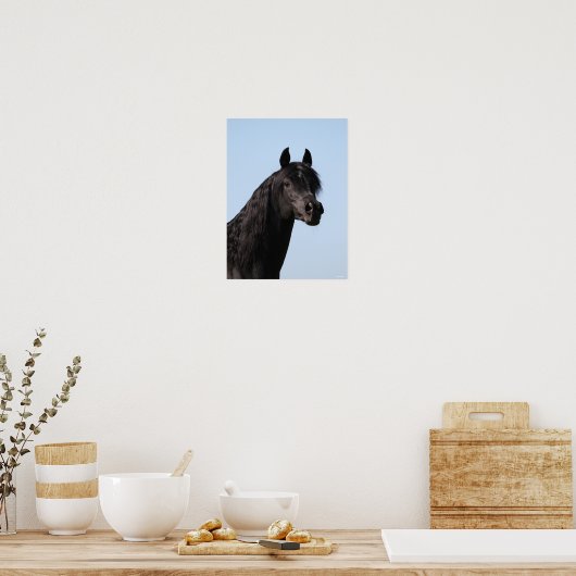 Bob Langrish | Hoofd van de Black Arab Stallion Poster (Keuken)
