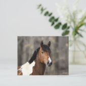 Bob Langrish | Hoofd verf paarden Briefkaart (Staand voorkant)