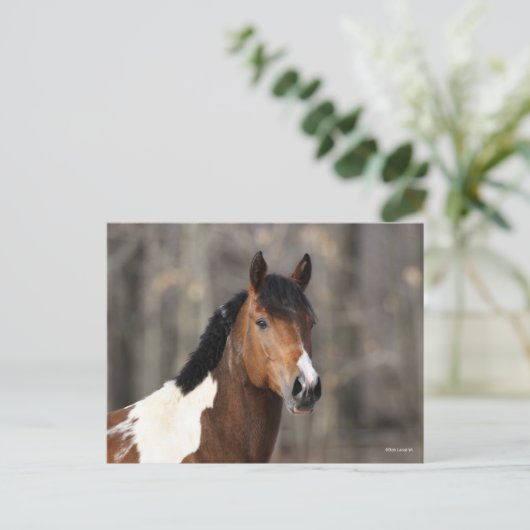 Bob Langrish | Hoofd verf paarden Briefkaart (Staand voorkant)