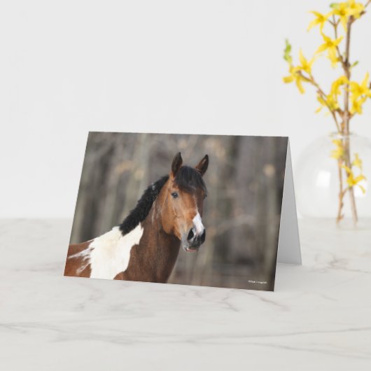 Bob Langrish | Hoofd verf paarden Kaart (Gele Bloem)