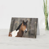 Bob Langrish | Hoofd verf paarden Kaart (Voorkant)