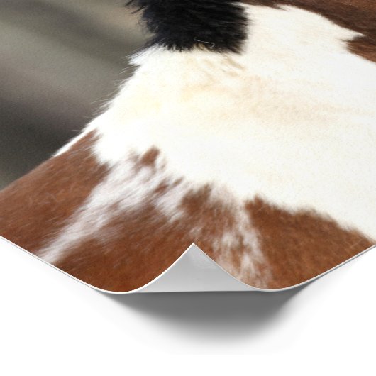 Bob Langrish | Hoofd verf paarden Poster (Hoek)