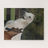 Bob Langrish | Hoofdschot van Arabische Mare en Fo Legpuzzel (Horizontaal)