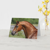 Bob Langrish | Hoofdschot van de Arabische kastanj Kaart (Gele Bloem)