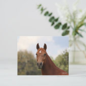 Bob Langrish | Hoofdschot van de kastanje Oldenbur Briefkaart (Staand voorkant)