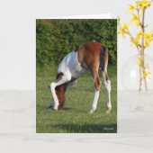 Bob Langrish | Iers grasland voor sportpaarden Kaart (Gele Bloem)