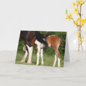 Bob Langrish | Irish Sport Horse Foal Hiding Kaart (Gele Bloem)