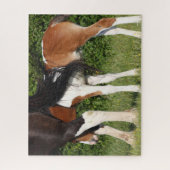 Bob Langrish | Irish Sport Horse Foal Hiding Legpuzzel (Verticaal)