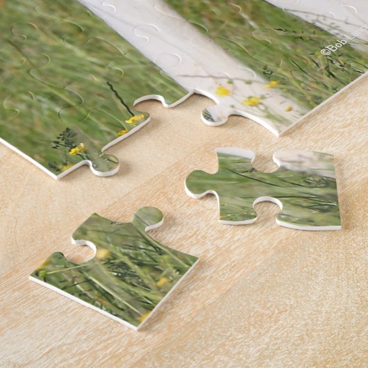 Bob Langrish | Irish Sport Horse Foal Hiding Legpuzzel (Zijkant)