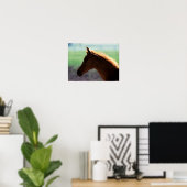 Bob Langrish | Kaas Arab Foal met achtergrondverli Poster (Thuiskantoor)