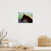 Bob Langrish | Kaas Arab Foal met achtergrondverli Poster (Keuken)