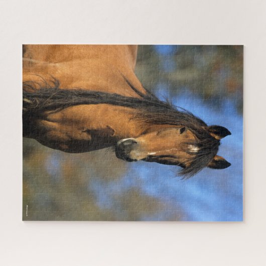 Bob Langrish | Keukenkop Pony Legpuzzel (Horizontaal)