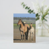 Bob Langrish Kiger Mustang Mare and Foal Standing Briefkaart (Staand voorkant)