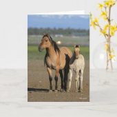 Bob Langrish Kiger Mustang Mare and Foal Standing Kaart (Gele Bloem)