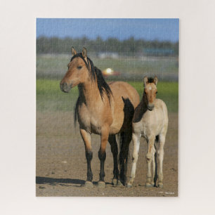Bob Langrish Kiger Mustang Mare en Foal Standing Legpuzzel