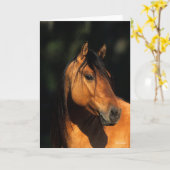 Bob Langrish | Kiger Mustang Stallion Headshot Kaart (Gele Bloem)