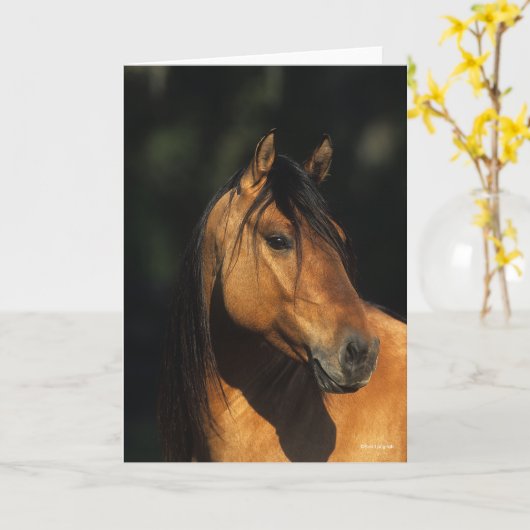 Bob Langrish | Kiger Mustang Stallion Headshot Kaart (Gele Bloem)