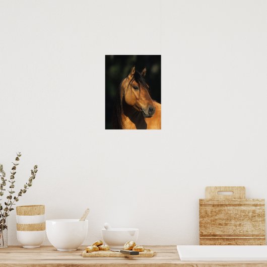 Bob Langrish | Kiger Mustang Stallion Headshot Poster (Keuken)