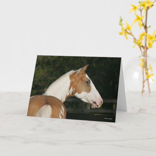 Bob Langrish | Koppen van verf-paarden Kaart (Gele Bloem)