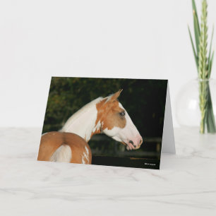 Bob Langrish   Koppen van verf-paarden Kaart