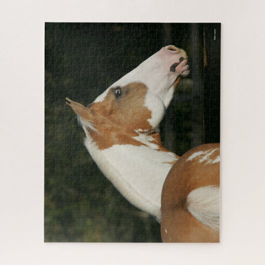 Bob Langrish | Koppen van verf-paarden Legpuzzel (Verticaal)