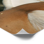 Bob Langrish | Koppen van verf-paarden Poster (Hoek)